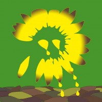 Weinende Sonnenblume